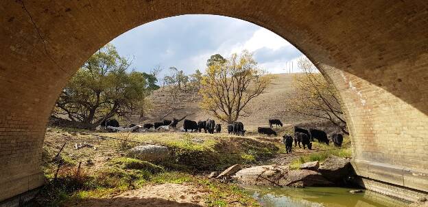 Drought at Solitary Creek, May 2018