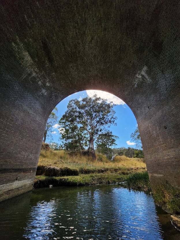 A tree framed within a large masonry arch span